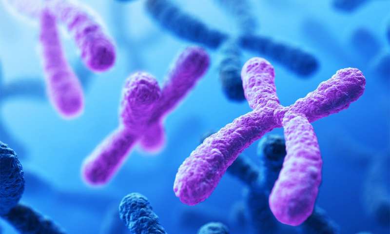 Sci Tran Med：对24条染色体的筛查有望使产前筛查更全面！对24条染色体的筛查有望使产前筛查更全面！
