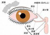 Curr Opin Ophthalmol：眼睛及附属器官中的<font color="red">IgG4</font><font color="red">相关</font><font color="red">疾病</font>综述！