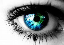 Ophthal Plast Reconstr Surg：完善眼睑痉挛的美容性眼轮匝肌切除术：局部使用5-氟尿嘧啶和纤维蛋白粘合剂！