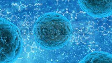 Mol Cell Biol：研究揭示营养匮乏的肿瘤微环境中癌细胞生长的机制
