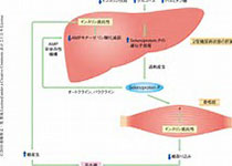 <font color="red">Hepatology</font>：针对晚期肝细胞癌治疗的荟萃研究