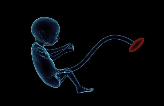 科学家质疑美国首批基因编辑<font color="red">人类</font><font color="red">胚胎</font>