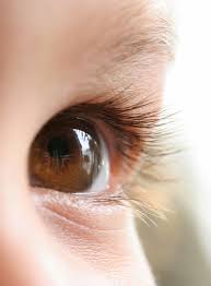 Graefes Arch Clin Exp Ophthalmol：弱视有无对屈光参差的立体视觉和融合影响不同！