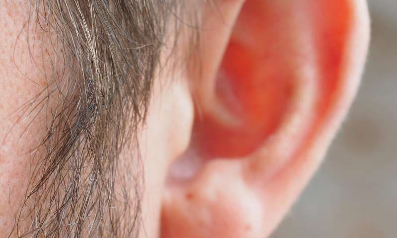 Cell Rep：研究表明抗抑郁药可能加重耳鸣