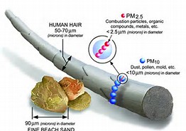 Circulation：PM2.5可致人体应激激素升高
