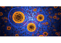 Nature Cell Biol：微核糖核酸或可“保护”癌细胞