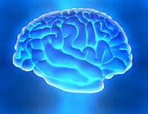 Radiology：功能性脑连接及帕金森病病变严重程度的关系