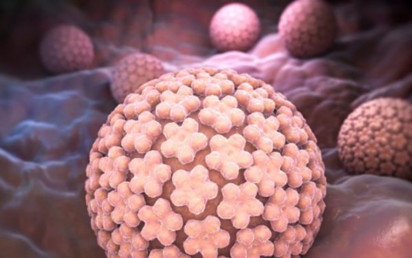 Virol J：<font color="red">L17</font>或可用于HPV相关宫颈癌的预防和治疗