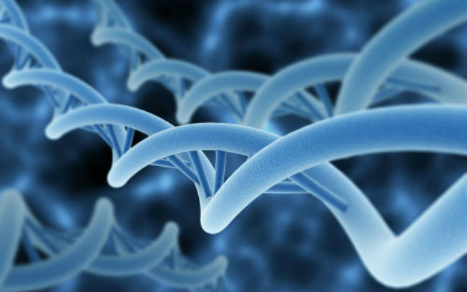 Cell：被“忽视”的DNA序列，失效竟可导致白血病和淋巴瘤