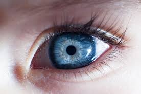 Eye Contact Lens：在激光原位角膜磨镶手术后佩戴角膜<font color="red">巩膜</font>隐形眼镜对角膜生物力学参数影响！