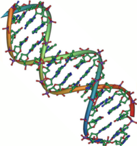 Cell：<font color="red">人类基因组</font>DNA环高清4D图谱绘成 为研究遗传疾病提供全新视角