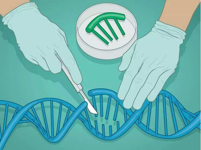 Science：基因编辑疗法在中国已占先机，在癌症、<font color="red">遗传病</font><font color="red">治疗</font>等领域 9 项试验值得关注