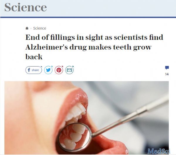 Sci Rep：厉害了，阿尔茨<font color="red">海</font>默病药物竟然能让蛀牙再生！