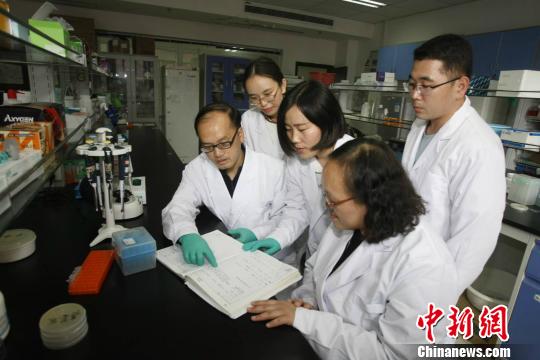 Sci Adv：我国科学家发现<font color="red">肿瘤</font><font color="red">抑制</font><font color="red">因子</font>p53调控机制