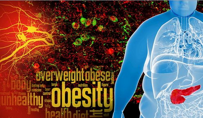 <font color="red">美</font>疾控中心：美国40％癌症病例与超重肥胖有关！