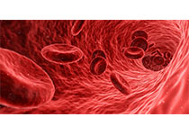 Blood：内源性纤维蛋白溶解促进<font color="red">血凝</font>块回缩。