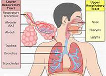 【盘点】COPD近期重要研究进展一览