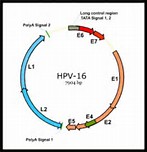 J Clin Oncol：<font color="red">年轻</font><font color="red">癌症</font><font color="red">幸存者</font>中HPV疫苗接种率调查
