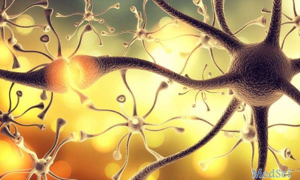 Cell Reports ：“成熟”分子帮助青春期的大脑发育