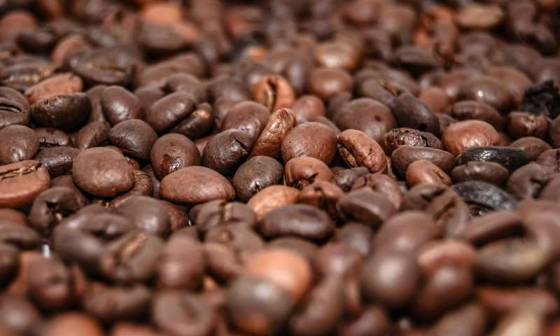 JASN <font color="red">ASN</font>：研究发现咖啡因摄入可延长肾病患者的寿命！