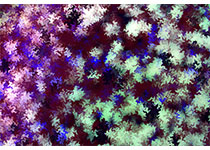 Cell Res：中科院动物研究所利用人胚胎干细胞产生异种<font color="red">嵌合体</font>