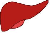 Metabolism：<font color="red">非</font>酒精<font color="red">性</font>脂肪肝增加慢性肾脏病发病风险！