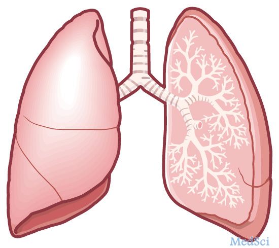 陈海泉教授：越来越多肺小结节被发现后的应对策略