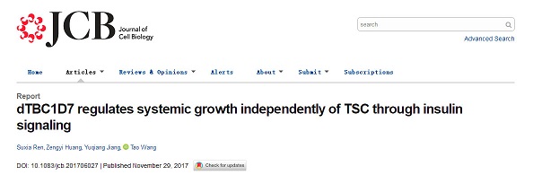 J Cell Biol：個(gè)體生長(zhǎng)調(diào)控研究新進(jìn)展