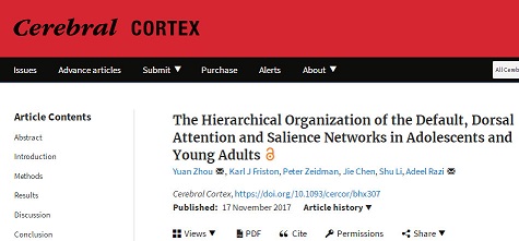 Cereb Cortex：发现青少年及早期成年人核心脑网络间的层级结构