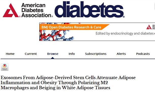 Diabetes：脂肪干细胞外泌体通过促进巨噬细胞M2极化和白色脂肪组织米色化缓解脂肪炎症