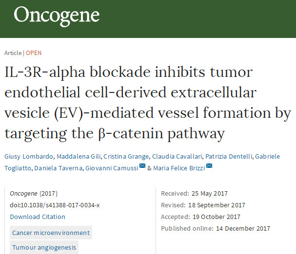 Oncogene：阻断IL-3R-α能够通过靶向β-catenin途径来抑制肿瘤内皮细胞衍生的胞外囊泡（<font color="red">EV</font>）介导的血管形成