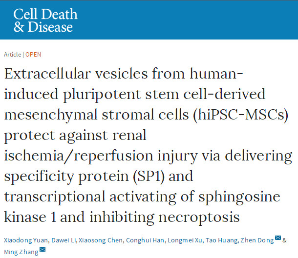 Cell Death Dis：来自人诱导的多能干细胞衍生的间充质基质细胞（hiPSC-MSC）的胞外囊泡通过递送特异性蛋白质（SP1）和转录激活鞘氨醇激酶1并抑
