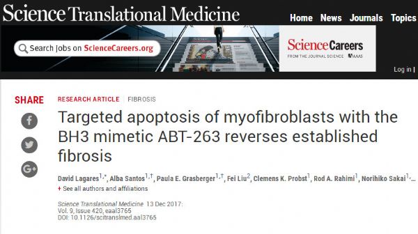 Sci Transl Med：利用药物<font color="red">ABT</font>-263让肌成纤维细胞靶向凋亡可逆转纤维化