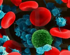 【盘点】2017年血液学领域10大研究进展