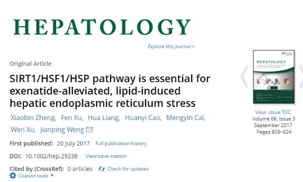Hepatology：GLP-1受体激动剂改善脂肪肝时肝脏内质网应激新<font color="red">机制</font>