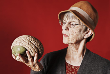 Journal of Neuroscience：科学家通过动物实验逆转衰老与记忆减退！