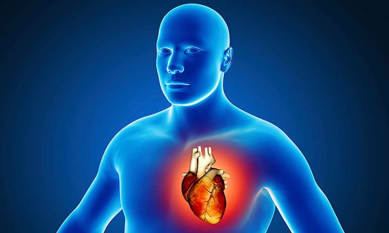 Eur Heart J：哪些人最容易得心脏感染性疾病？