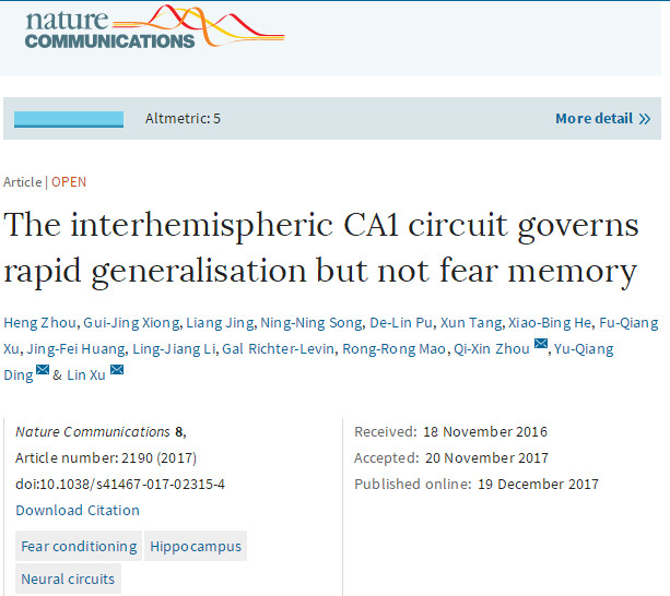 Nat Commun：中国科学家发现了记忆提取的新机制