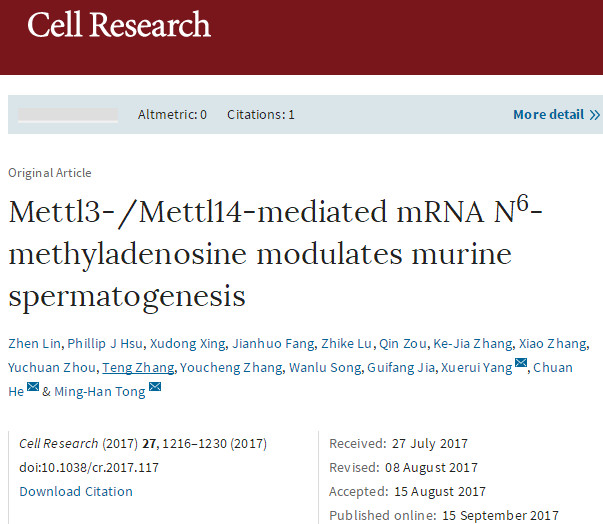 Cell Res：m6A RNA修饰在<font color="red">哺乳动物</font>精子发生中的作用及其机制