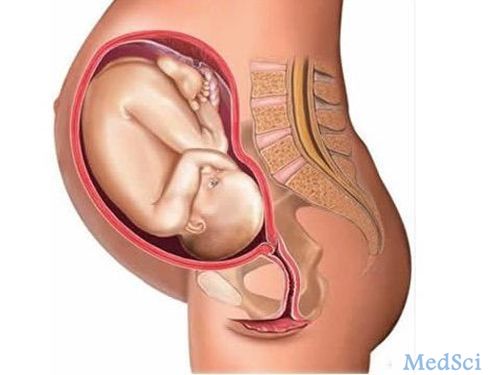 JCEM：母亲甲状腺功能参数的<font color="red">亚</font>临床改变对胎儿生长有何影响？