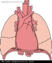 EUR J PHARMACOL：<font color="red">丹参</font><font color="red">素</font>通过抑制TGF-β-smad3相关通路中肺动脉平滑肌细胞的增殖来预防大鼠低氧性肺动脉高压