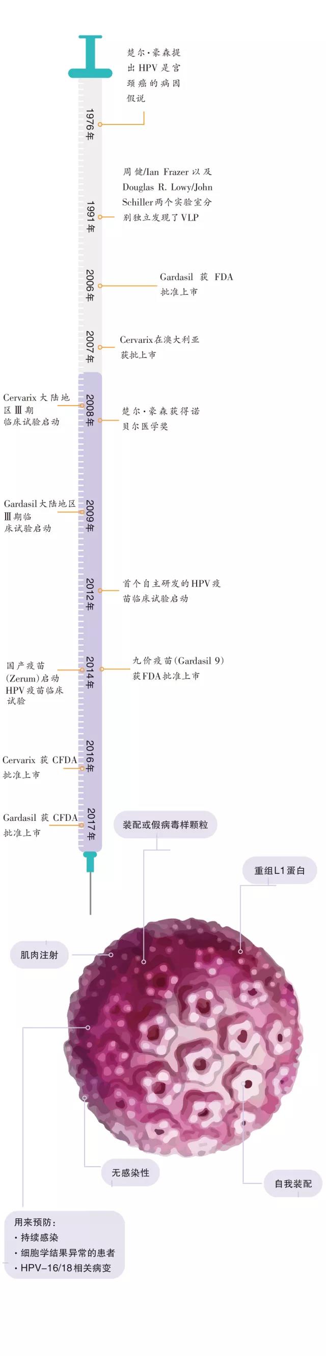 中国宫颈癌防治研究20年历程