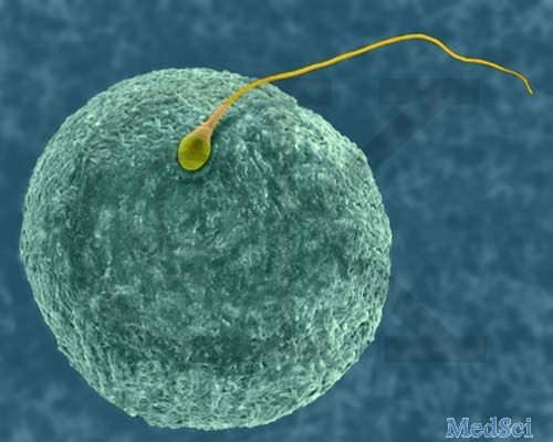 Nature子刊：卵细胞发育停滞, 表观遗传学扮演关键角色