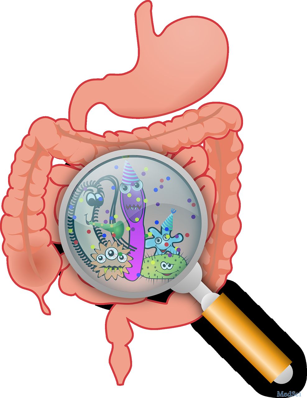 Nature：肠道微生物的精确编辑可以改善结肠炎