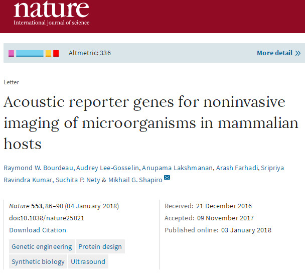 Nature：声学报告基因让超声波为人体内的细菌成像