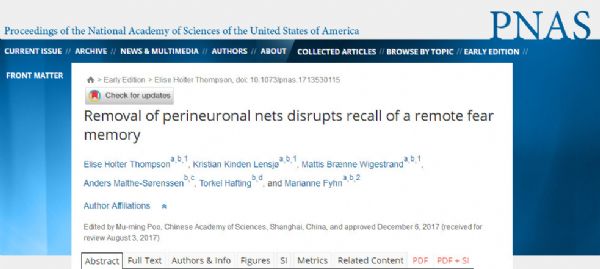 PNAS：神经元网络对于长期记忆的重要性