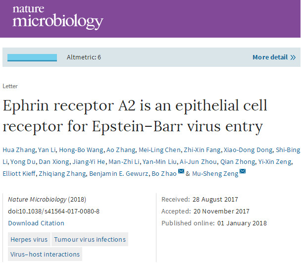 Nat Microbiol：我国学者合作研究在EB病毒感染上皮细胞机制领域取得重要进展