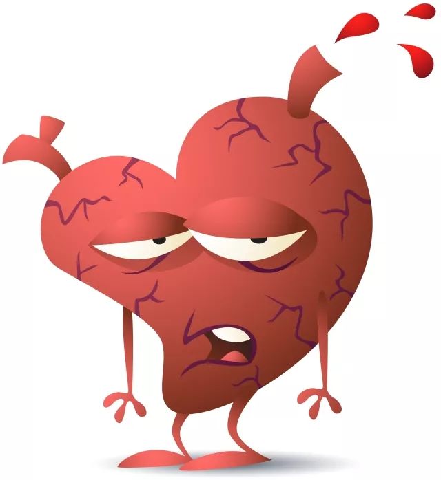 Circulation： 心血管顶级期刊：生酮饮食或又有新功能！科学家发现它可以改善心肌代谢，显著延缓心衰进展 | 科学大发现