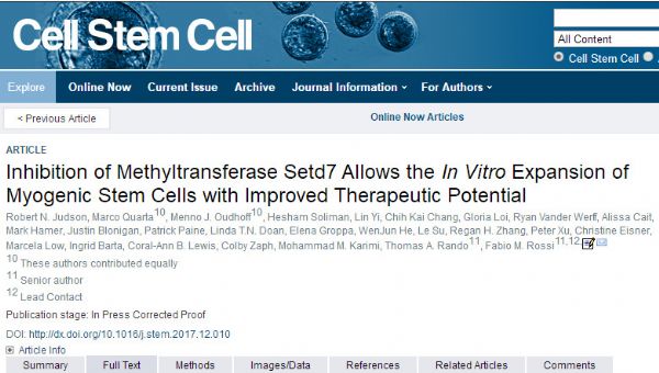 Cell Stem Cell：福音！研究人员攻克肌营养不良症干细胞治疗的难关！