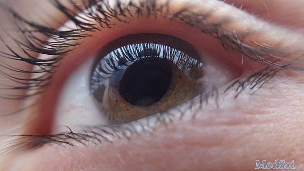 Invest Ophthalmol Vis Sci：人类供体眼中黄斑微血管的定量研究！